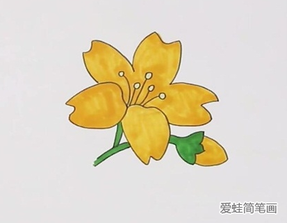 迎春花简笔画