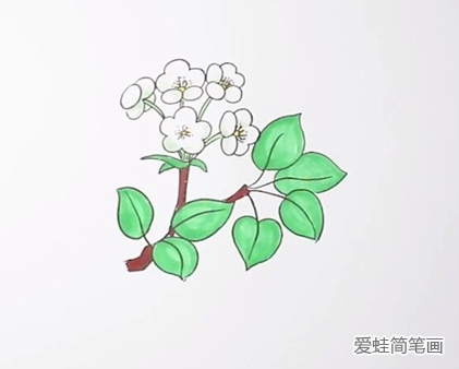 梨花简笔画