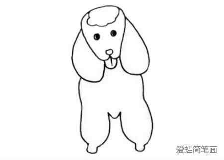 贵宾犬简笔画