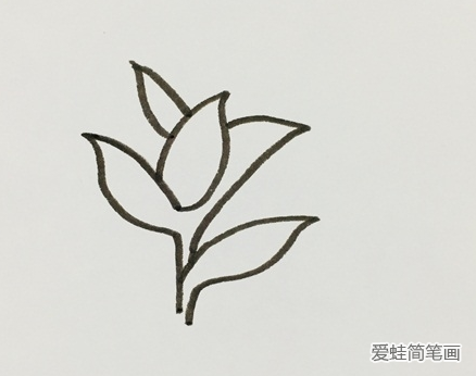 茶树简笔画