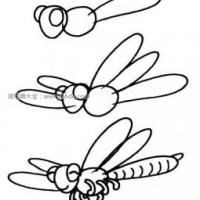 蜻蜓的画法