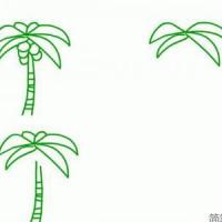 椰子树简笔画图片教程