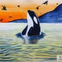 大海中的鲸鱼海底世界画画图片欣赏