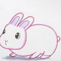 用3画兔子可爱小动物的简笔画四步