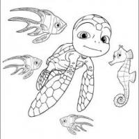 卡通小海龟简笔画图片