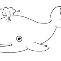 喷水中卡通鲸鱼