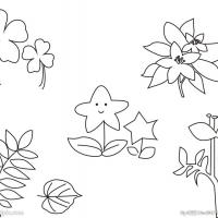 春天的植物简笔画图片