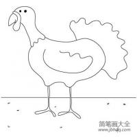 卡通火鸡简笔画图片手绘