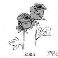 玫瑰花简笔画图片