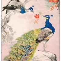 靓丽的孔雀