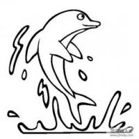 海洋生物图片 海豚简笔画图片