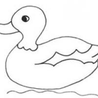 小鸭子怎么画简单漂亮 小鸭子简笔画步骤图解教程