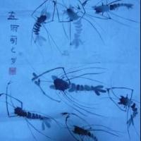 游动的龙虾