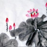 美丽荷花图