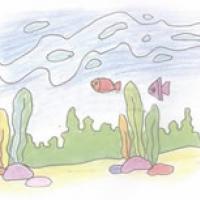 海底世界简笔画的画法步骤教程