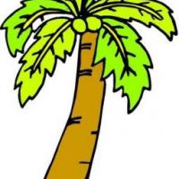 颜色绚丽椰子树卡通简笔画