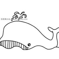 简单的鲸鱼简笔画图片