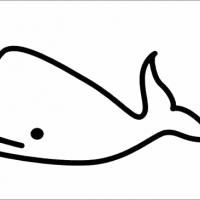 鲸鱼简笔画图片
