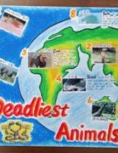 世界上最致命的10种动物手抄报(双语版)