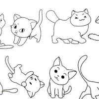 小猫简笔画大全及画法步骤