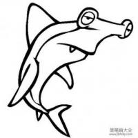 海洋生物图片 斧头鲨简笔画图片