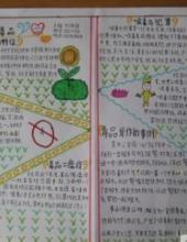 禁毒手抄报大全