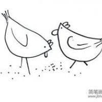 关于母鸡的简笔画画法