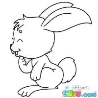 爱笑的兔子简笔画