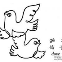 一笔画鸽子的画法