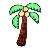 夏天的椰子树