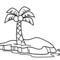小岛上的椰子树