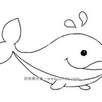 动物简笔画 鲸鱼