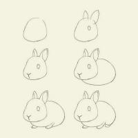 6步画可爱的小兔子简笔画