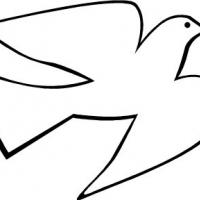 一只天空飞翔的鸽子简笔画图片