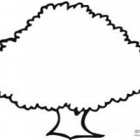 幼儿园教小朋友画大树