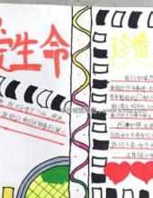 关爱生命，交通安全手抄报
