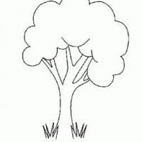 关于简单的大树简笔画图片