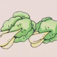 大白菜怎么画,大白菜儿童简笔画教程