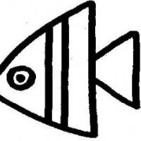 神仙鱼简笔画法图片