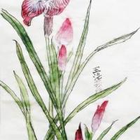 水墨画 莺飞花