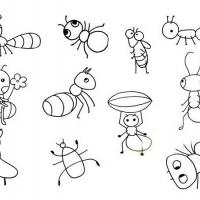 卡通蚂蚁简笔画步骤图解教程及图片大全
