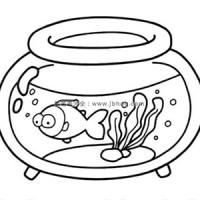 鱼缸里的金鱼简笔画图片