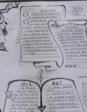 几张小学生禁毒手抄报