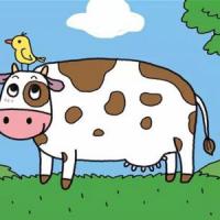 农场里的奶牛怎么画