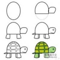 教你如何画小乌龟
