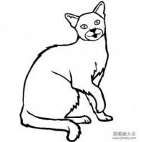 猫咪图片 俄罗斯蓝猫简笔画