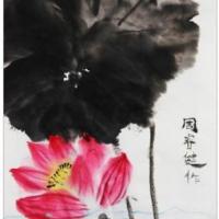 莲花盛开了