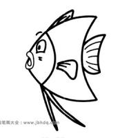 四张漂亮的鱼简笔画图片