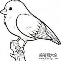 素描小鸟站枝头简笔画