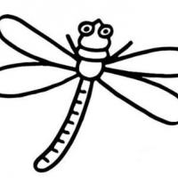 蜻蜓儿童画简笔画作品